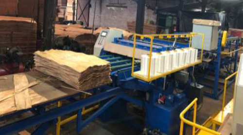 Machinery Supplier of Shuttering Plywood Plant