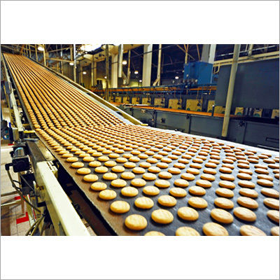 Food Industry Conveyor Repairing Services