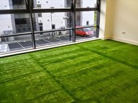 Artificial Grass