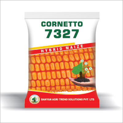 High Yield Maize Seeds