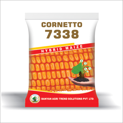 Hybrid Maize Seeds 7338