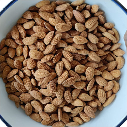 Brown Fresh Almond Nuts