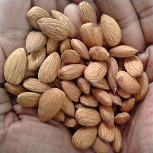 Premium Quality Almond Nuts