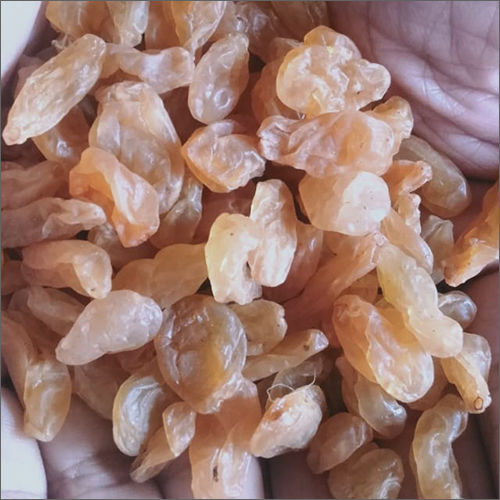 Golden Dried Raisin