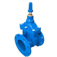 Hydrant Sluice Valve