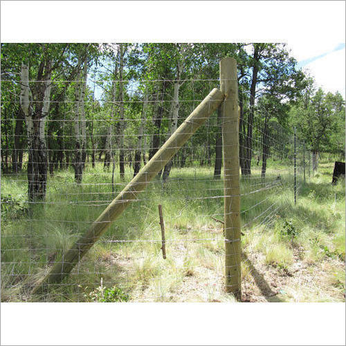 Forest Solar Fencing