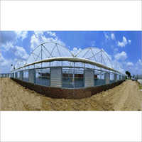 Fan And Pad Agriculture Polyhouse