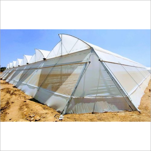 Dome Shaped Agriculture Polyhouse Greenhouse Size: Large