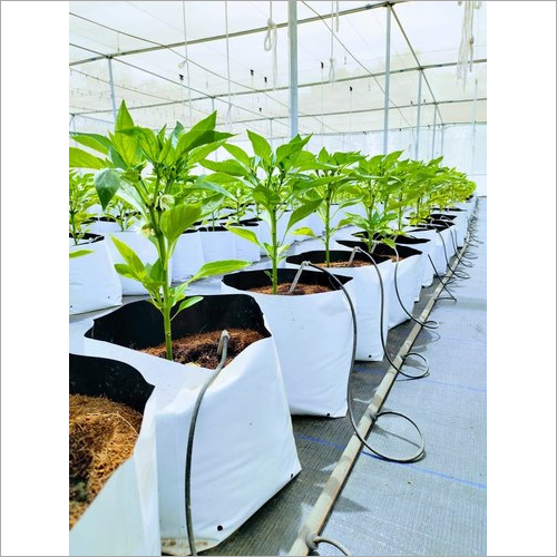Cocopeat Growbag Turnkey Projects By KEISHA GREENS PVT. LTD.