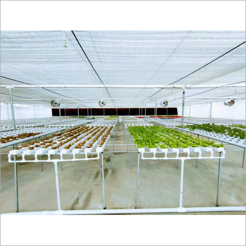 White Rectangular Hydroponics Systems Greenhouse Size: Large