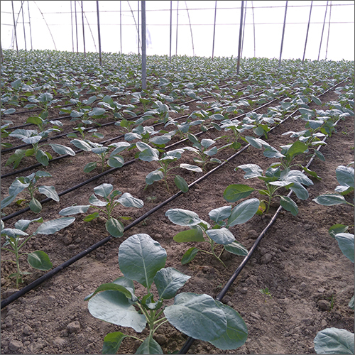 Drip Irrigation System Application: Agricultural