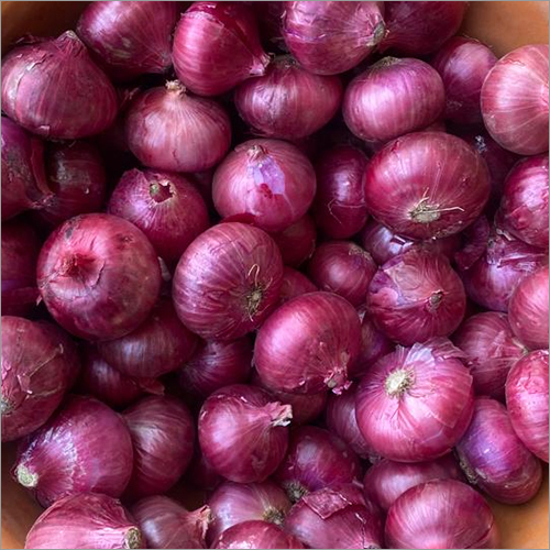 Pure Red Onion