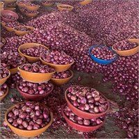 Indian Fresh Red Onion