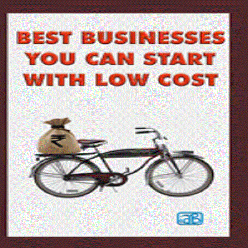 Best Businesses You Can Start with Low Cost (2nd Revised Edition)