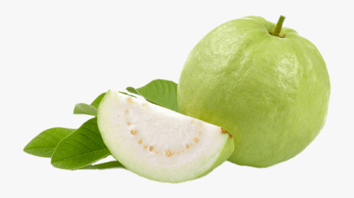 Green Fresh Guava