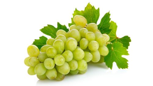 Green Fresh Grapes