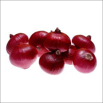 Organic 'Red Onion
