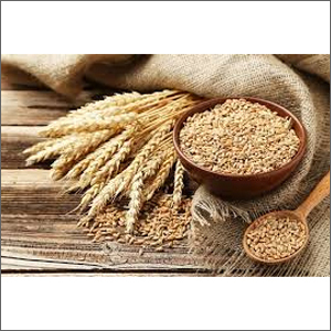Natural Wheat Grains