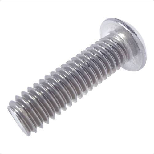 Socket SS Screw