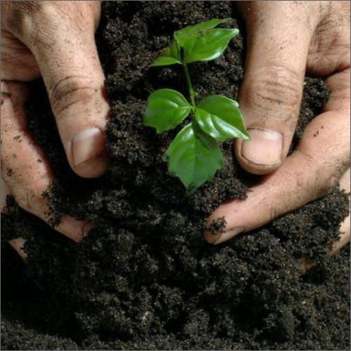 Organic Bio Fertilizer