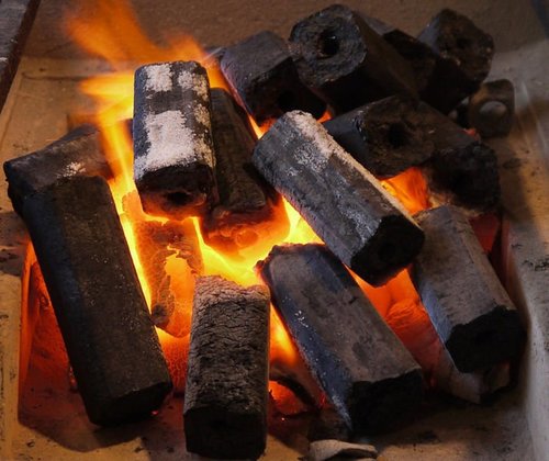 Project Consultant of Charcoal Fire Briquettes Plant