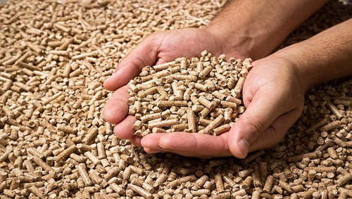 Project Consultant of Eco Friendly Pellets Plant