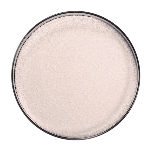 Zinc Solubilizing Bacteria By ARIHANT CHEMICAL INDUSTRIES