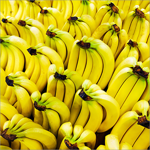 Natural Fresh Yellow Banana