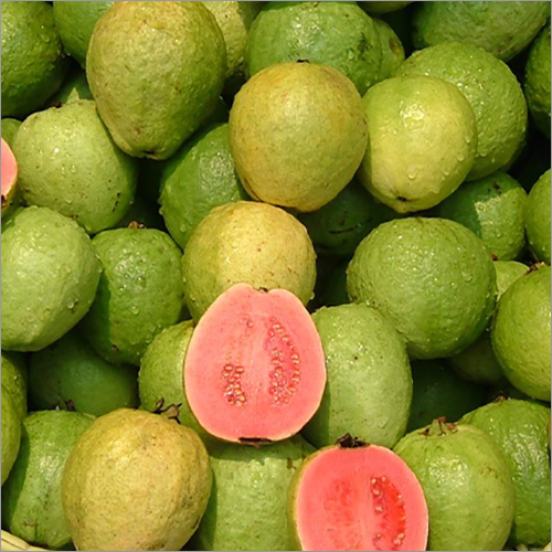 Natural Guava Shelf Life: 7 Days