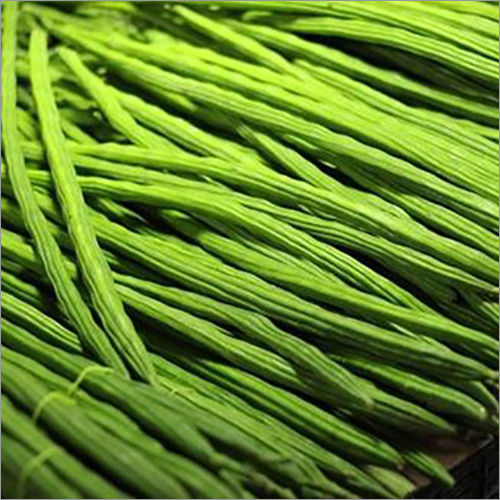 Fresh Green Drumsticks Shelf Life: 4 Days