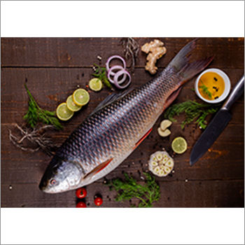 Fresh 900 Gm Rohu Fish