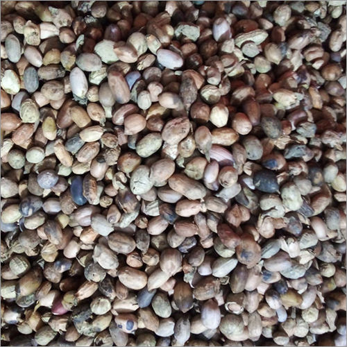 Organic Damaged Quality Groundnut