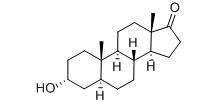 Androsterone CAS:53-41-8