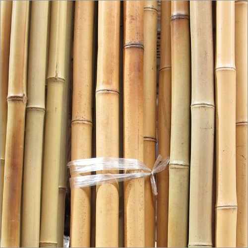 Treated Bamboo Pole