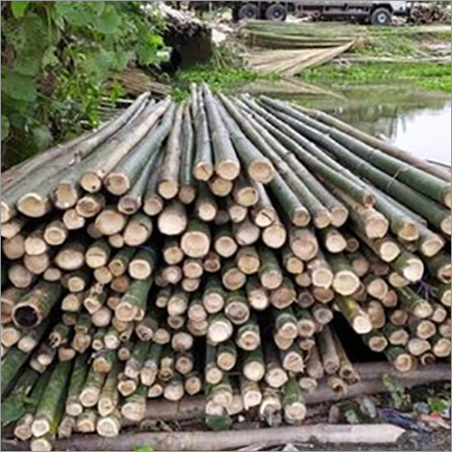 24ft Long Round Bullet Bamboo Pole 