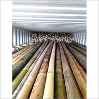 Export Quality Treated Bamboo Pole