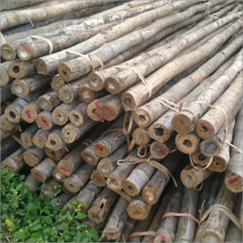 Bamboo Stick