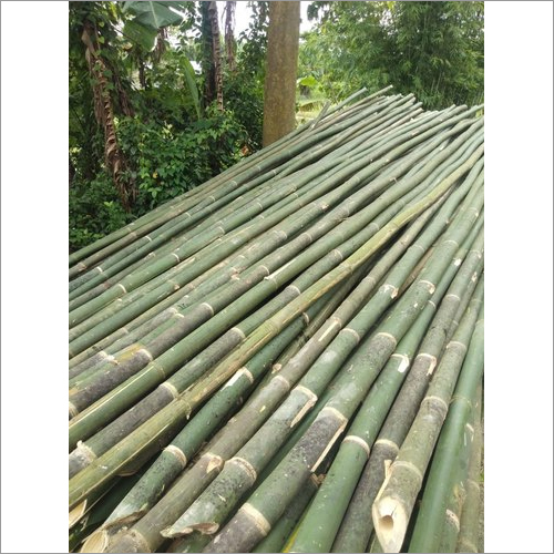 24 feet Bullet Bamboo Poles