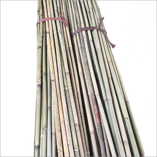 24ft Bamboo Cane
