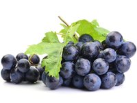 FRESH GRAPES