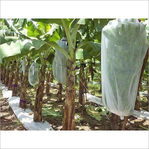 Non Woven Banana Grow Cover Bag