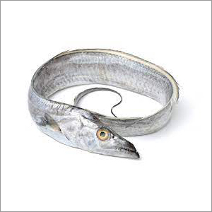Dried Salted Ribbon Fish