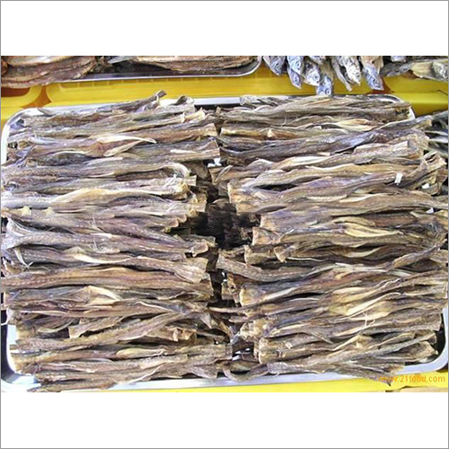 Dry Salted Bombay Duck Fish