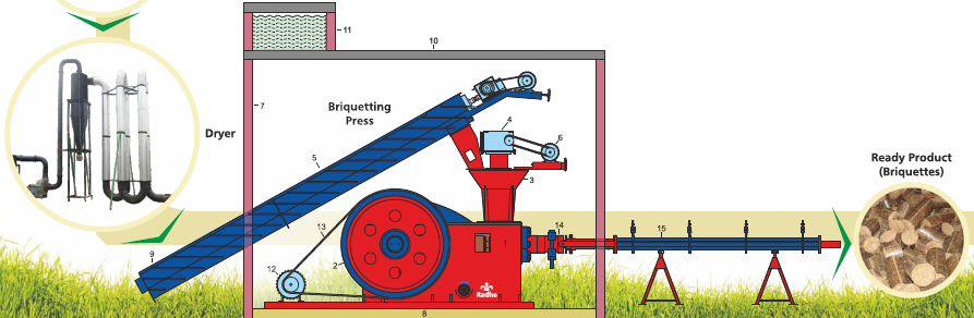 Biomass Briquette Plant