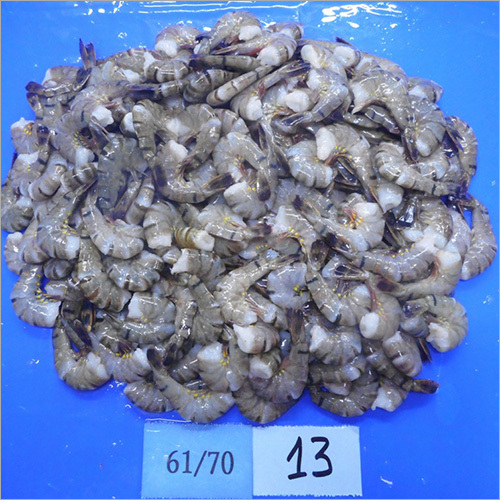 Frozen Raw HLSO Black Tiger Shrimps