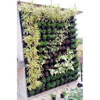 Vertical Garden