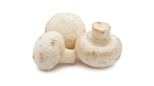 Fresh Mushroom Moisture (%): 85% - 95%