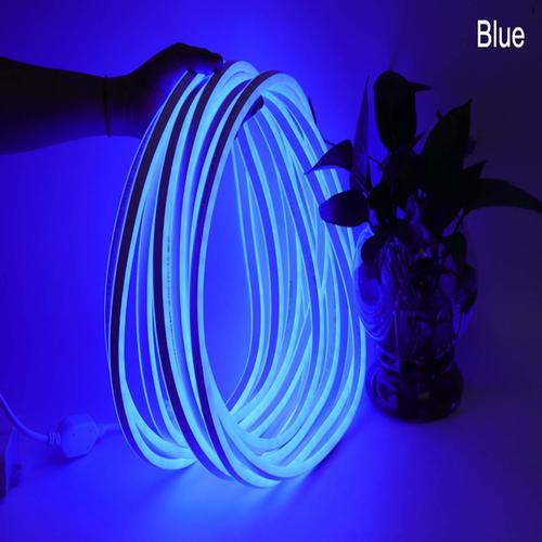 Neon  Blue rope light