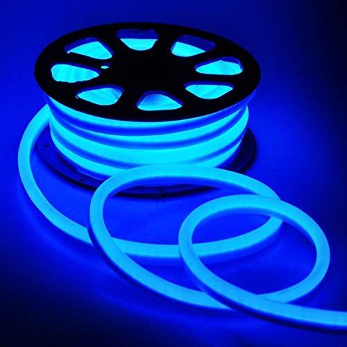 Neon  Blue rope light