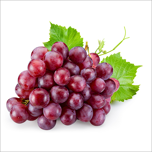 Fresh Grapes By KARATELA EXIM